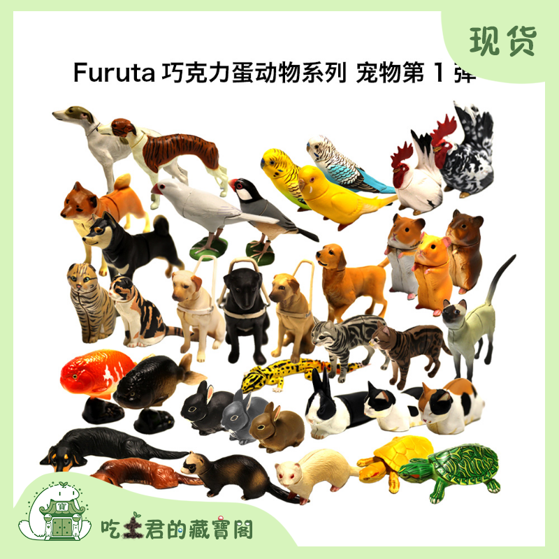 海洋堂宠物巧克力日本第一导盲犬