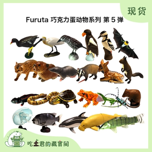海洋堂 第五彈 拼裝 玩具 動物 扭蛋 日本 巧克力蛋 Furuta 原盒
