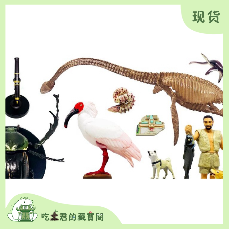 海洋堂 国立科学博物馆 铃木双叶龙 朱鹮 菊石 秋田犬