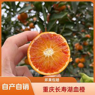 【顺丰包邮】重庆长寿湖血橙塔罗科血橙现摘现发整箱10斤