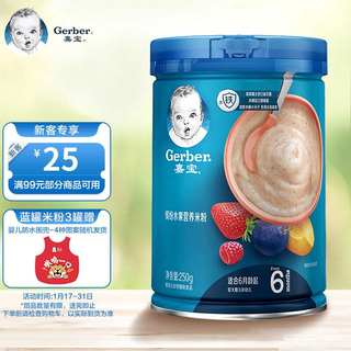 新款 嘉宝(Gerber)婴儿辅食缤纷水果米粉宝宝高铁米糊2段250g(6-