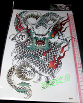 Autocollant pour vélo - Ref 2283538 Image 18