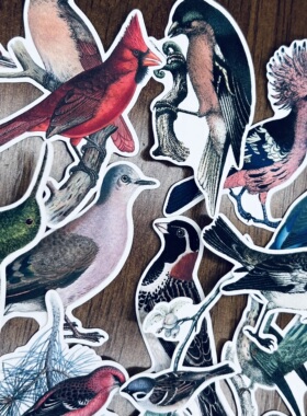 手帐贴纸包 vintage复古鸟类 Aves19枚入 手账贴纸装饰 25元包邮