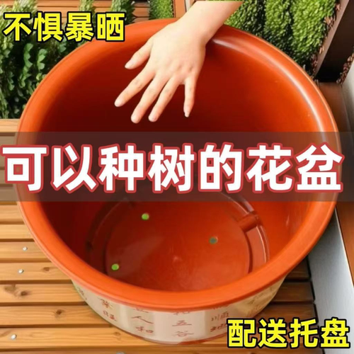 花盆清仓捡漏大号养花专用特