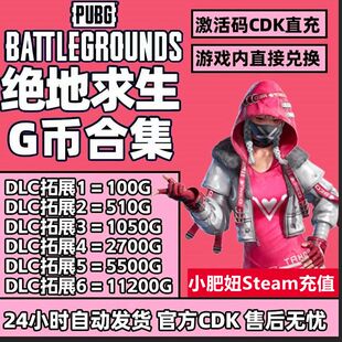 PUBGG币CDK兑换码绝地求生金币吃鸡G游戏币皮肤点卷官方充值激活