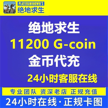 PUBG吃鸡充值金币绝地求生代购11200g美金通行证 steam余额钱包币