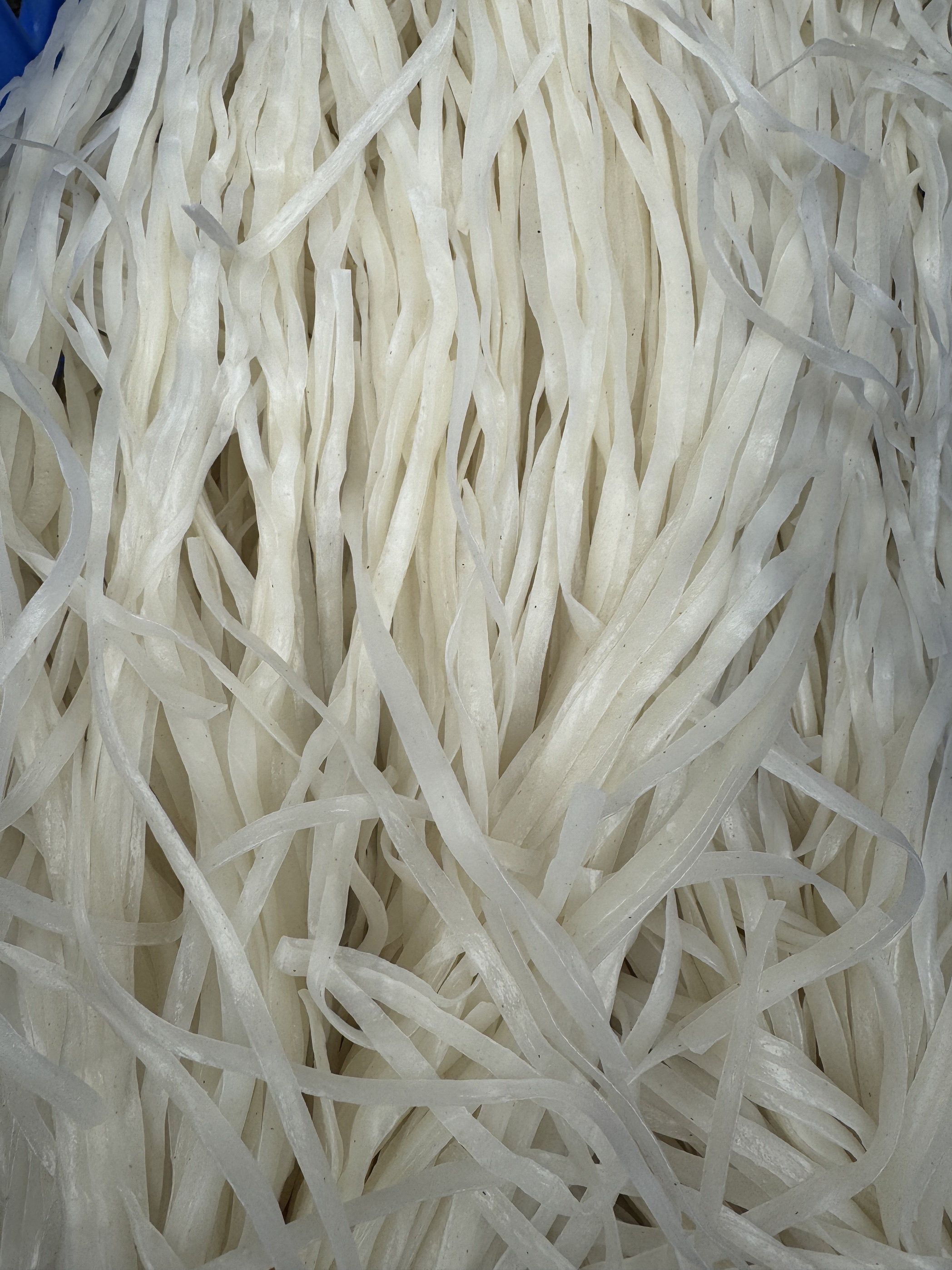 贵州特产 小吃遵义凤冈农家米皮丝丝粉气粉汽粉河粉半干2斤装包邮