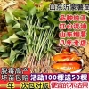 主图