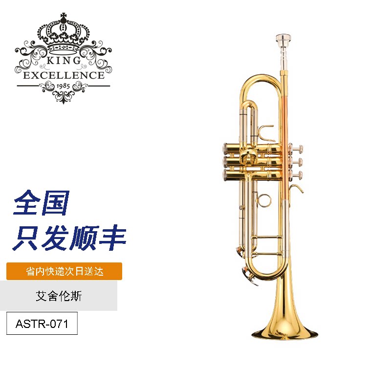 艾舍伦斯小号乐器初学者