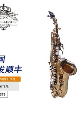 艾舍伦斯小弯管高音萨克斯降b调ASSP-613成人儿童专业演奏乐器