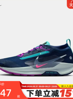 Nike耐克男鞋飞马Pegasus Trail 5 GTX拒水越野跑步鞋FQ0908-403