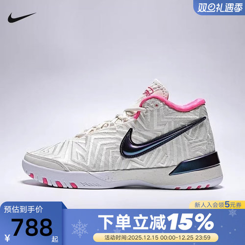 Nike耐克男鞋LEBRON詹姆斯运动鞋实战鞋抗扭缓震篮球鞋IB1271-100