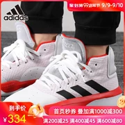 Giày thể thao Adidas Adidas nam 2019 mùa thu giày thể thao mới thoáng khí mang giày bóng rổ thông thường BB9191 - Giày bóng rổ