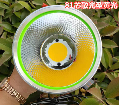 12v头灯led强光大光圈鱼水蛭黄光