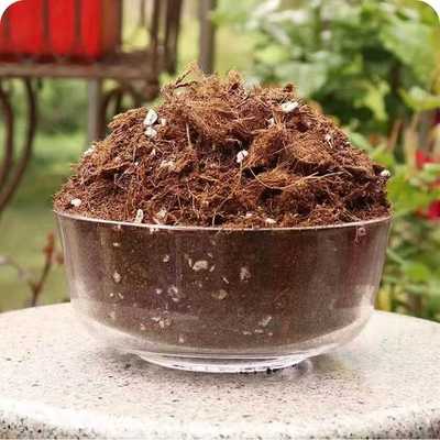 粗椰壳营养土月季蓝莓兰花