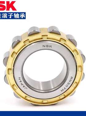 NSK轴承N303 304 305 306 307 308 309 310 311 312/EM/EW/ET/C3