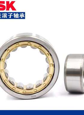 NSK轴承N2312 2313 2314 2315 2316 2317 2318 2319EM/EW/ET/C3