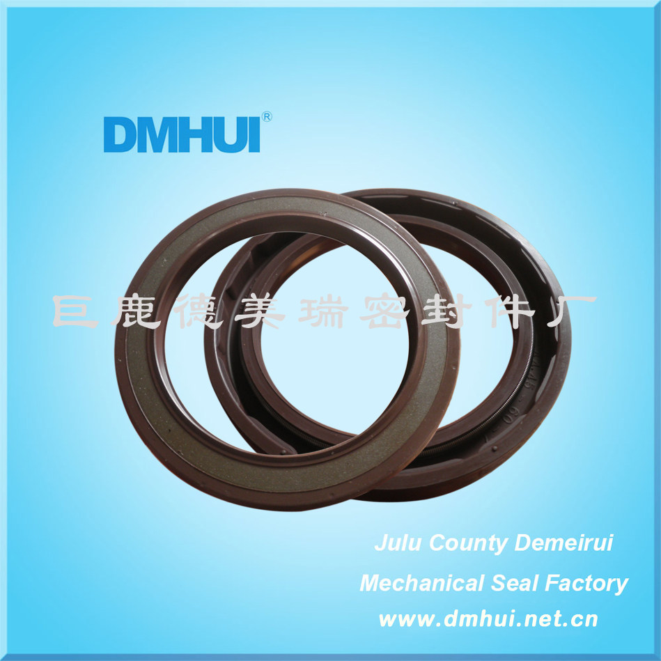 高压油封河北巨鹿DMHUIVITON