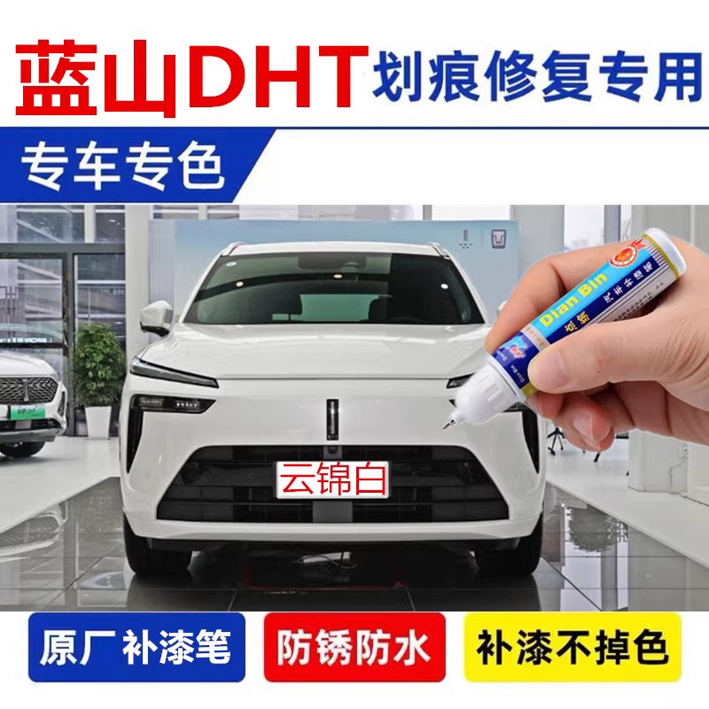 派蓝山DHT-PHEV流光金补漆笔