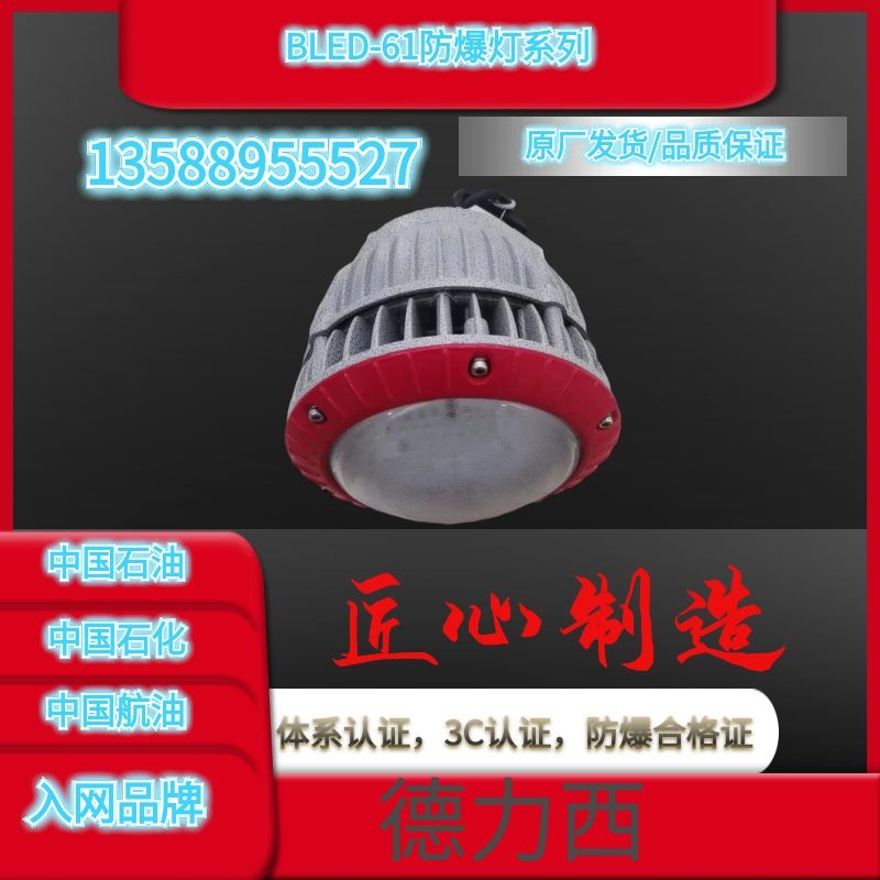 一线防爆品牌德力西BLED61LED防爆灯防水隔爆厂房户外天棚灯50W