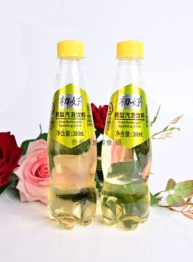贵州刺梨汽泡饮料380ml