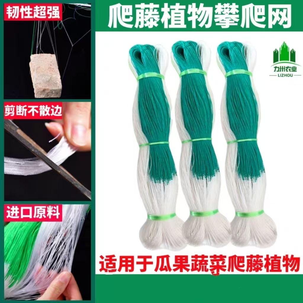 农用植物爬藤网山药豆角丝瓜豌豆