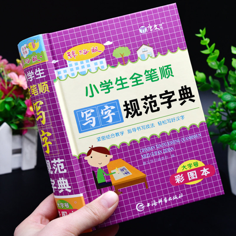 全笔顺写字规范字典大全