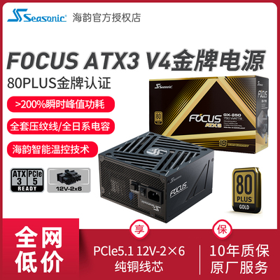 海韵FOCUSGX-1000WV4版电源