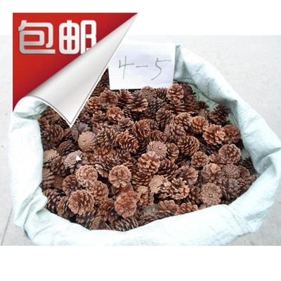 圣诞松果莲蓬头松塔装饰干花包