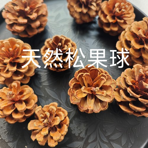 天然干松果松塔圣诞节装饰