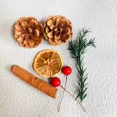 肉桂卷干花香薰杯松果羊齿叶柠檬片干果蜡烛香薰diy材料家居摆件