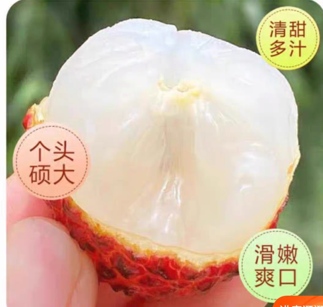 广州增城基岗仙进奉新鲜小核大荔枝现摘现发孕妇水果5斤包邮