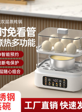 出口110V双层蒸蛋器智能定时煮蛋器家用小型自动断电早餐机电蒸锅