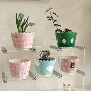 幻想自制透气手绘小花盆办公桌面绿植蝴蝶兰球兰利水礼物装 饰摆件