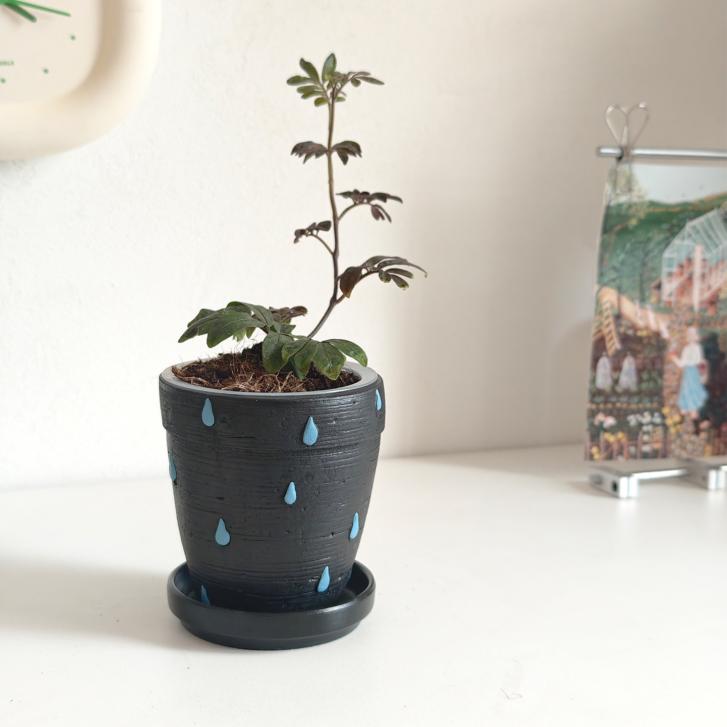 黑色雨滴水泥绿植球兰透气利水带孔小口径室内办公桌创意装饰花盆