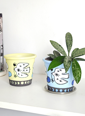 植想蓝色飞鸟陶泥创意吸水透气球兰热植绿植多肉室内办公礼物花盆