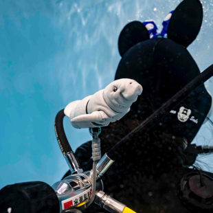 科诺潜水浮水跟屁虫小潜伴海牛鲸鲨挂件钥匙扣装饰礼品