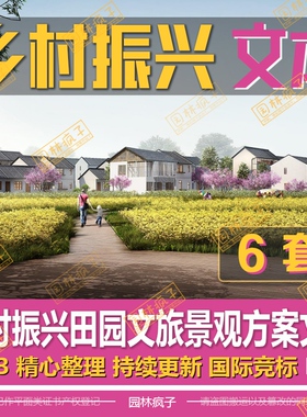 WB569 乡村振兴美丽乡村田园文旅小镇景观规划设计方案文本