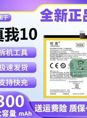 适用于真我10电池原装realme10大容量正品RMX3615手机电板BLP875