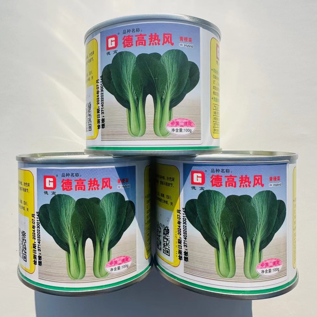 德高热风蔬菜种子杂交青梗菜种子大户种植小油菜种子耐热杆青油绿