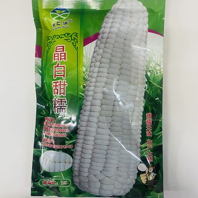 晶白甜糯玉米种子早熟高产大棒甜糯粘玉米苞谷种籽国审抗病春秋孑