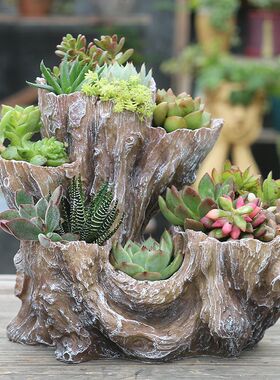创意个性树根非陶瓷花盆多口花架多肉肉植物创意办公室桌面小花盆