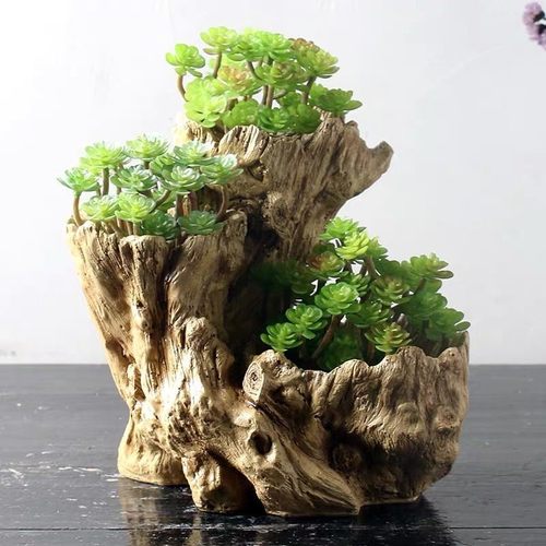 多层树根造型多口创意一盆多口