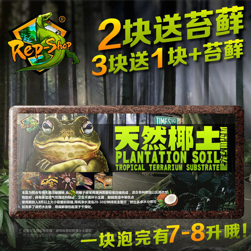 爬虫爬虫椰土椰砖过冬乌龟冬眠