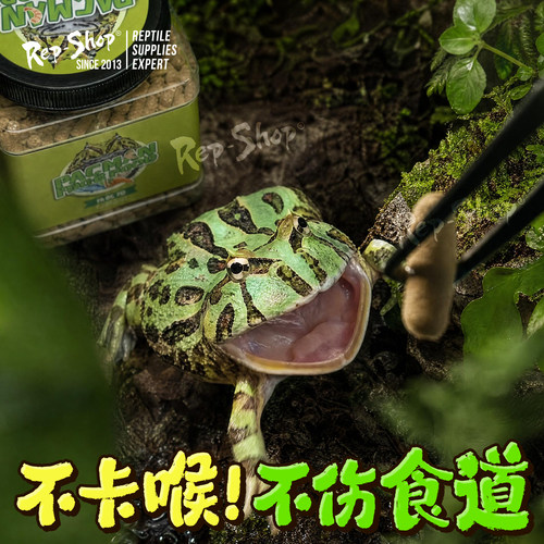 rep-shop角蛙黄金霸王饲料