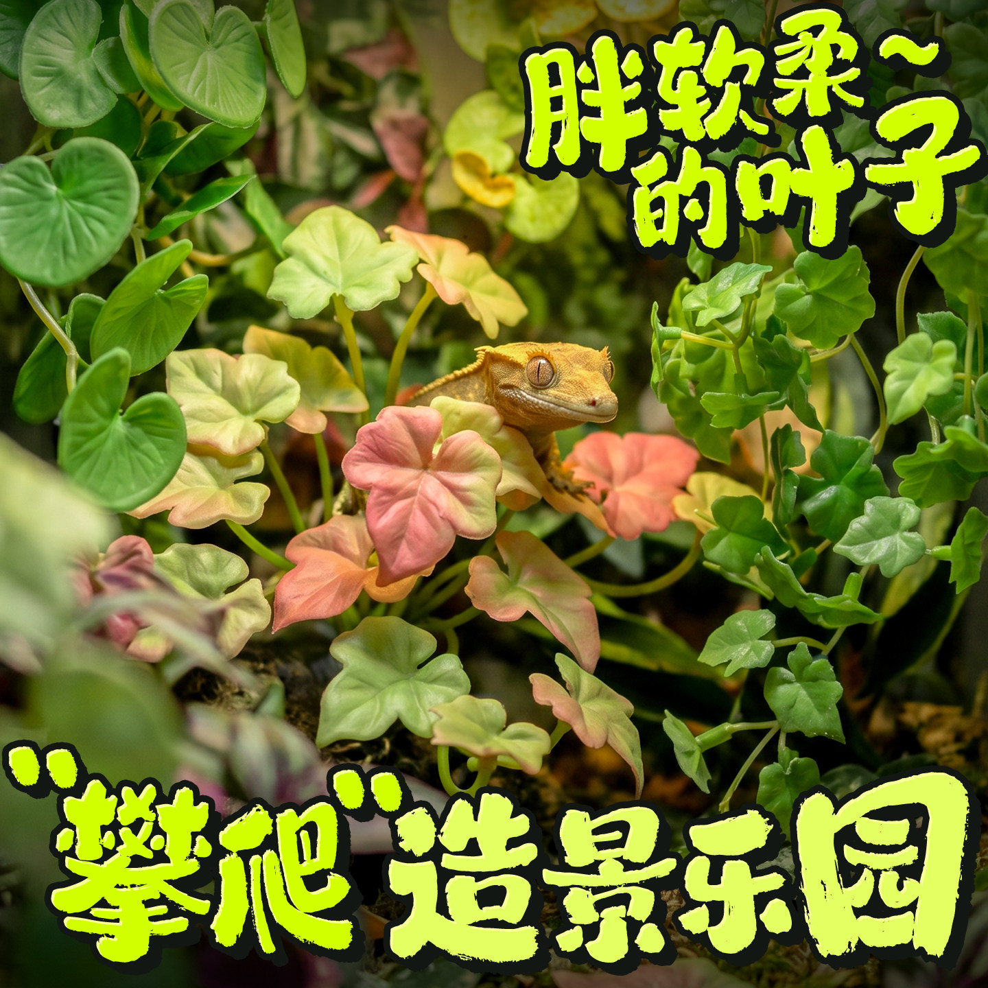 爬宠饲养箱软胶仿真植物造景睫角躲避蛇守宫蜥蜴玻璃缸装饰带吸盘