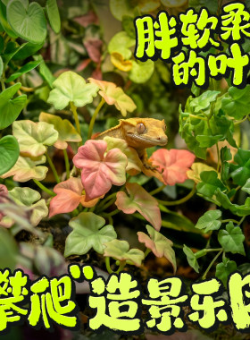 爬宠饲养箱软胶仿真植物造景睫角躲避蛇守宫蜥蜴玻璃缸装饰带吸盘