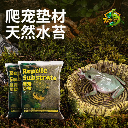 爬宠垫材保湿水苔苔藓乌龟冬眠爬虫守宫蜘蛛角蛙寄居蟹造景青苔