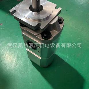 环卫车 F52合长肥源双联高压齿轮泵 3吊车液压泵 F56 KHBTL0