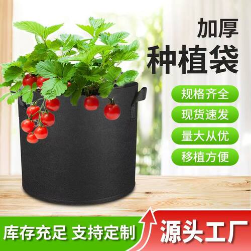 加厚黑色毛毡美植袋00